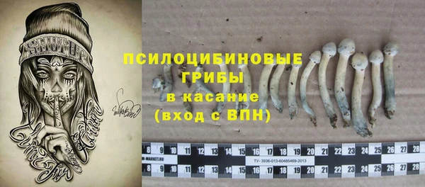 ECSTASY Богданович