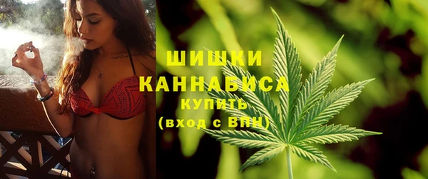 мдпв Богородск