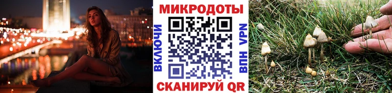 как найти закладки Нижний Тагил Галлюциногенные грибы прущие грибы